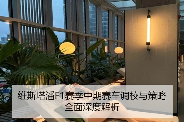 维斯塔潘F1赛季中期赛车调校与策略全面深度解析 | ZOTY SPORTS